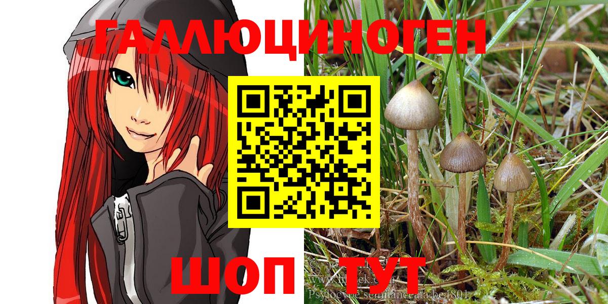 Галлюциногенные грибы Psilocybe Семёнов