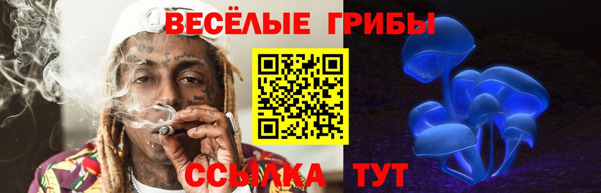 Семёнов  Псилоцибиновые грибы ЛСД  Вход с VPN 